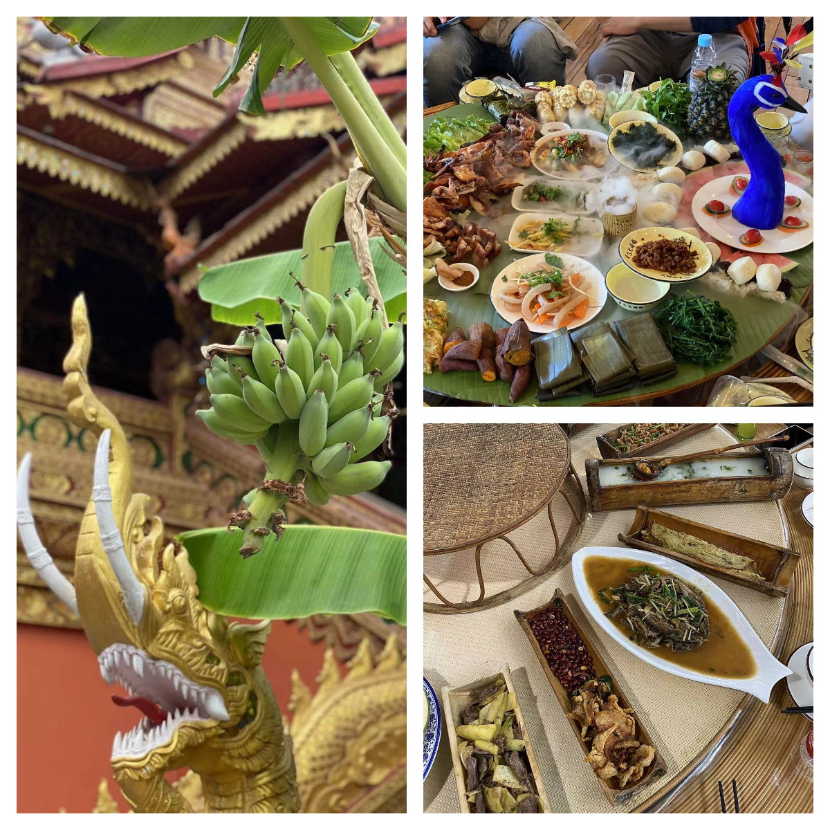 下載 (3).jpg 下載 (3).jpg